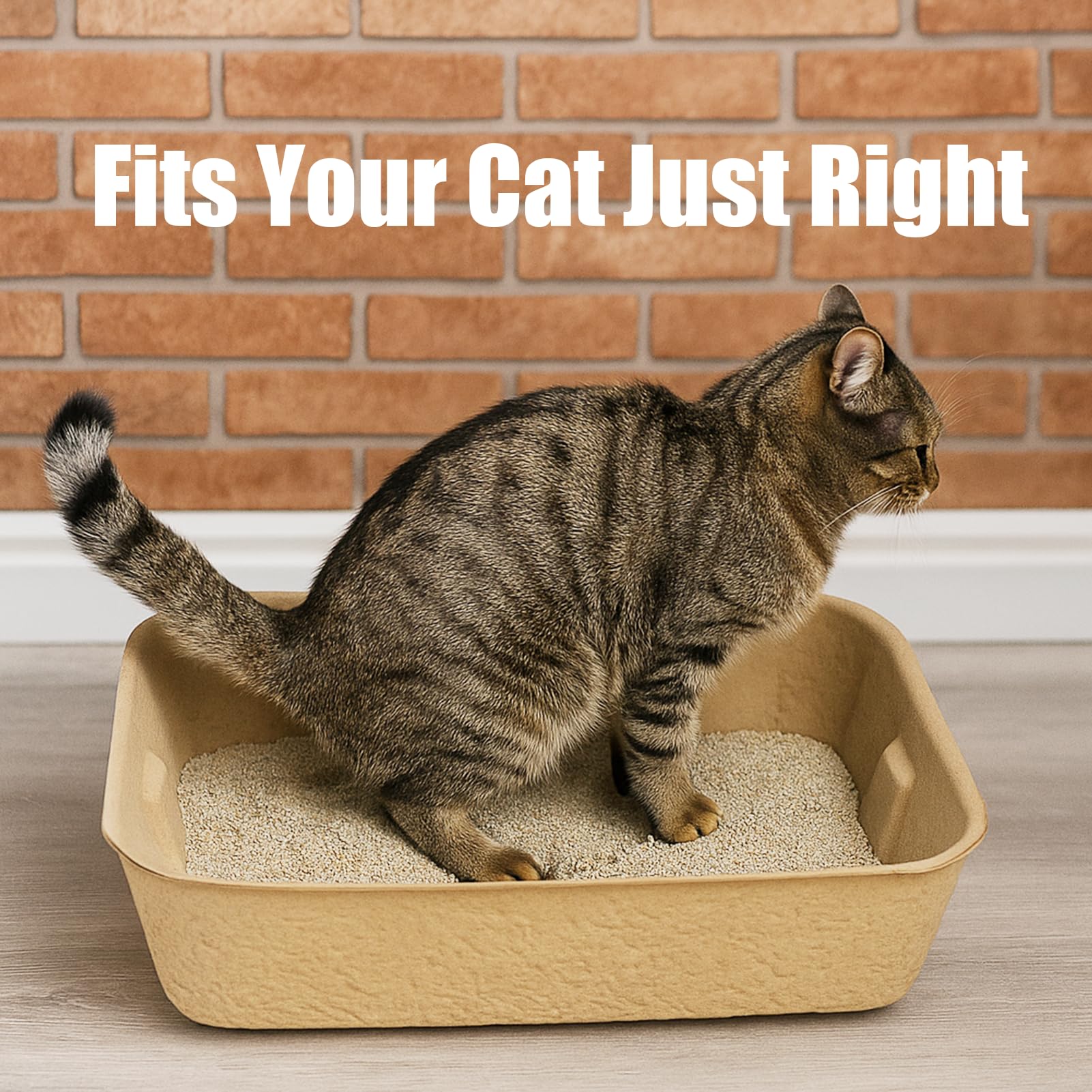 JINVOGREEN easy-cleanup-tray enables quick disposal after use.