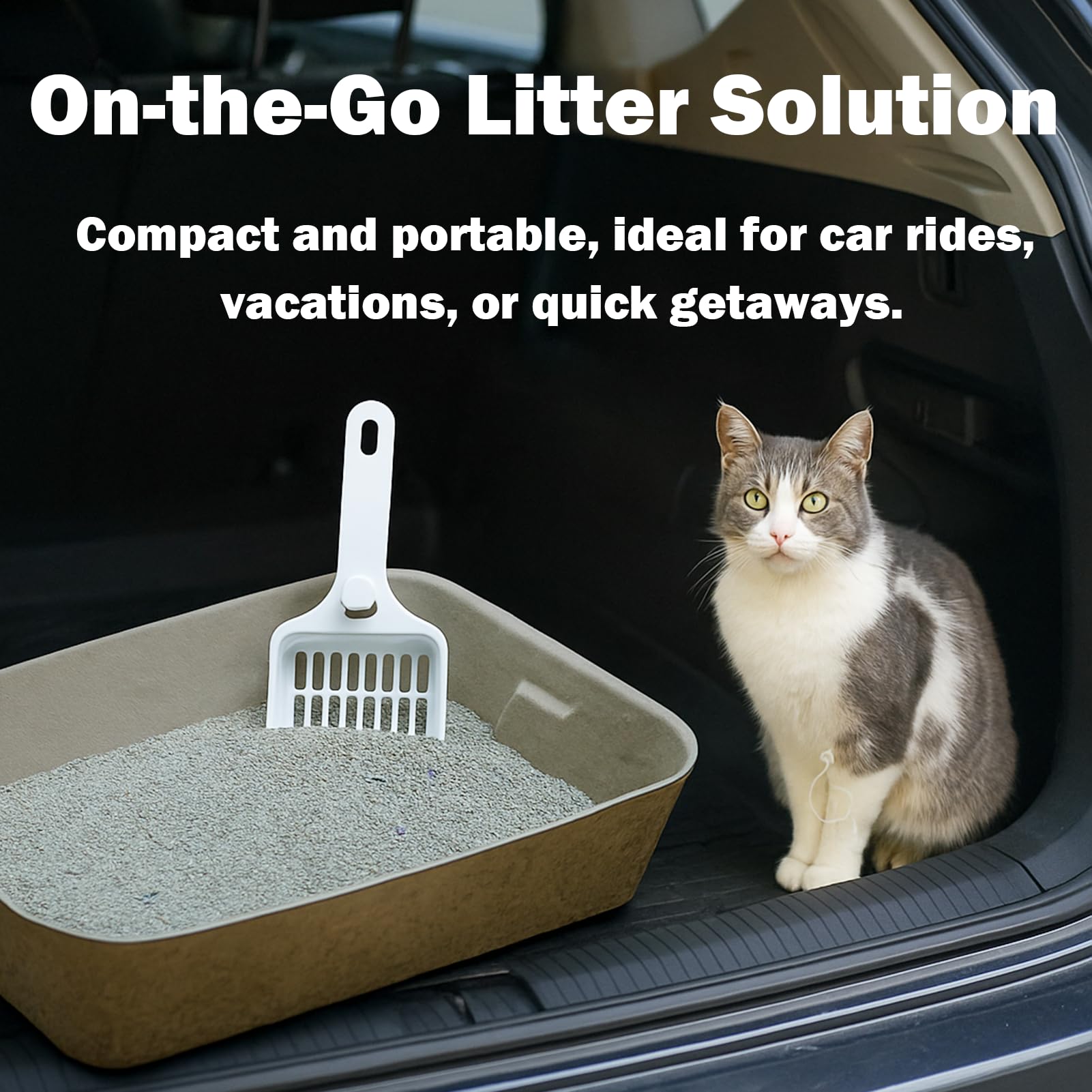 JINVOGREEN recyclable-materials reduce plastic waste supporting eco-friendly pet care.