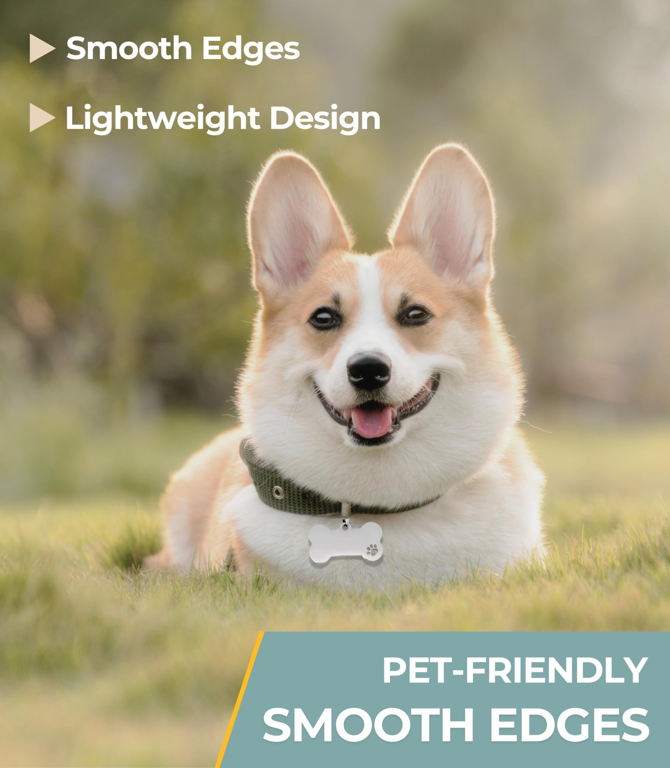 JINYEAH paw-print design dog tags add charm while remaining comfortable.