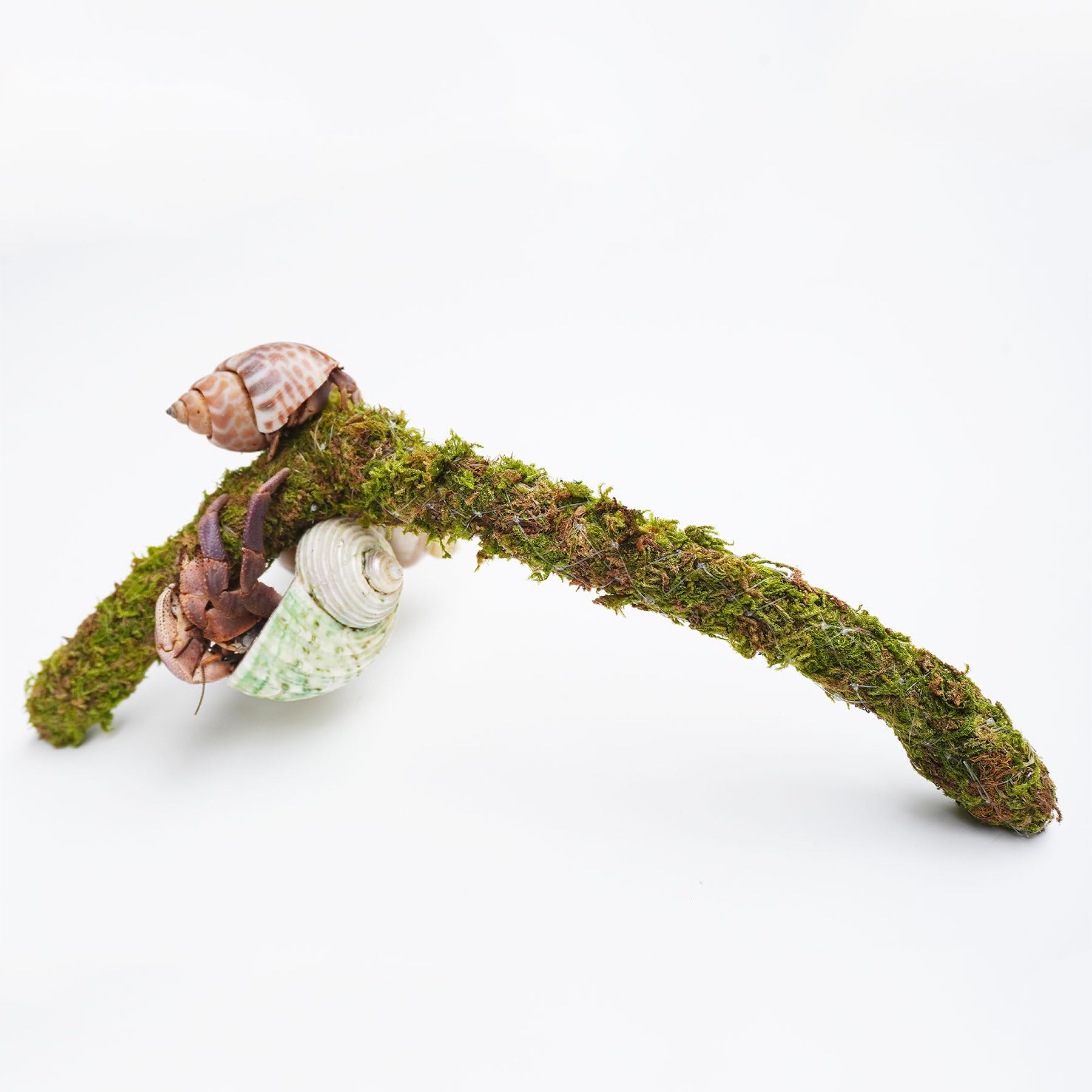 Jinymral Hermit Crab Climbing Toy in-tank setup showing humidity-friendly play area.