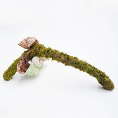 Jinymral Hermit Crab Climbing Toy in-tank setup showing humidity-friendly play area.