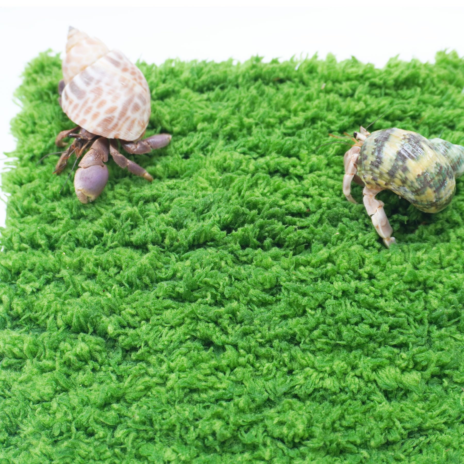 Jinymral hermit crab climbing wall coral fleece closeup highlights moisture-retention.