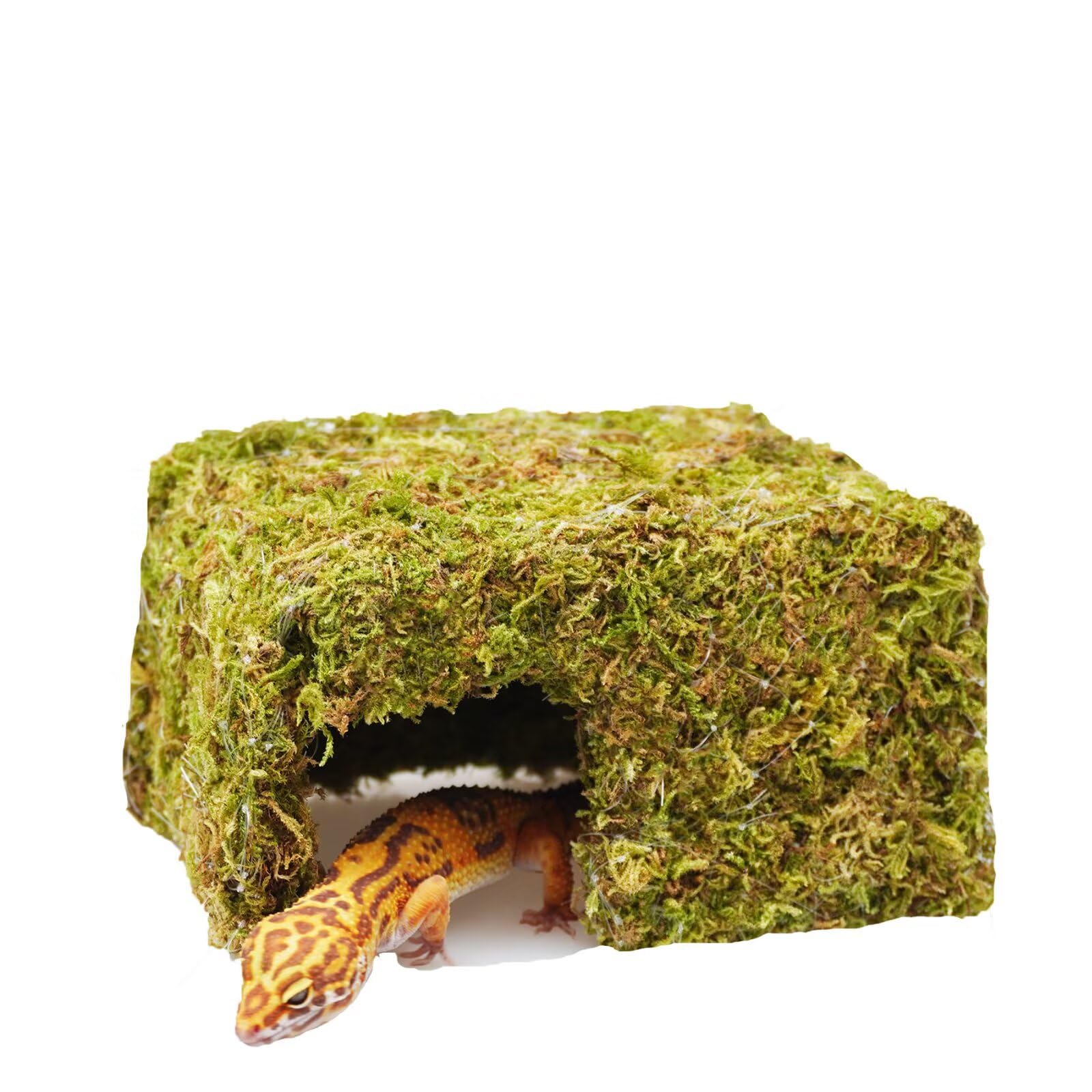 Jinymral leopard gecko hide cave assembled for secure shelter and habitat enrichment.