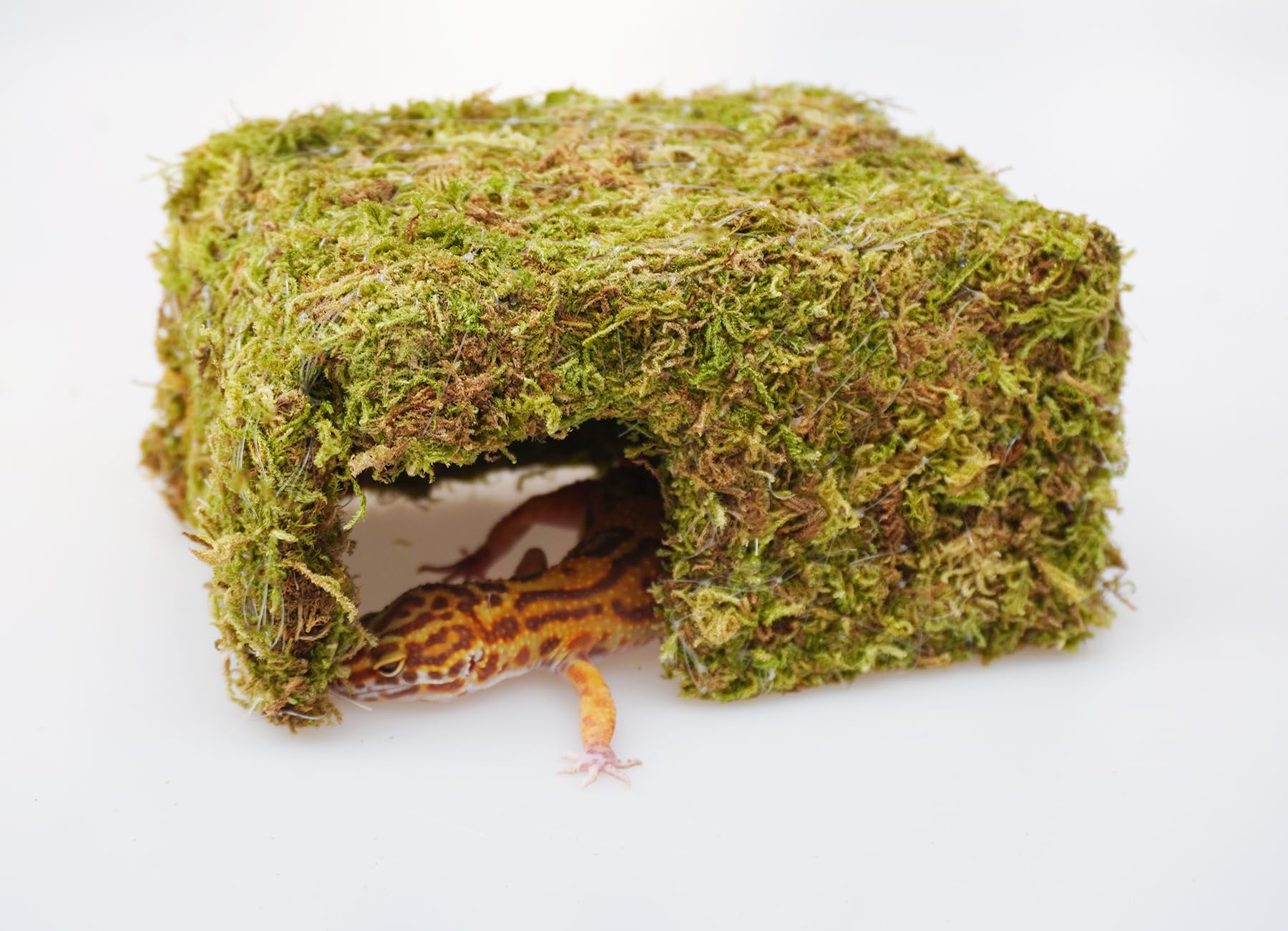 Jinymral leopard gecko hide cave unfolded shows versatile hiding spot in tanks.