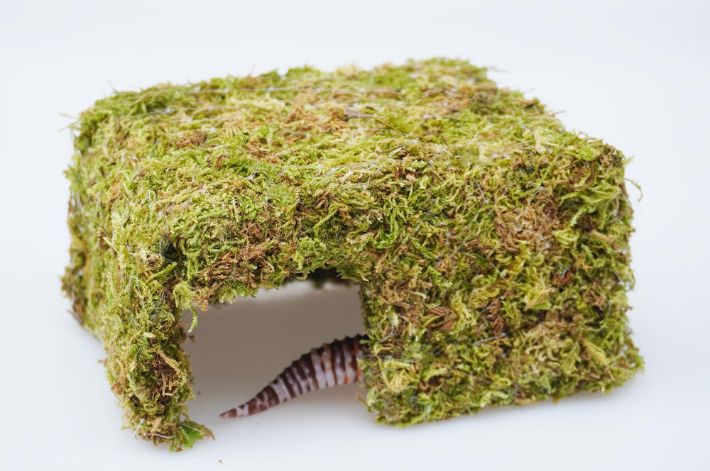 Jinymral leopard gecko moss-based hide-toy closeup highlights humidity-friendly material.