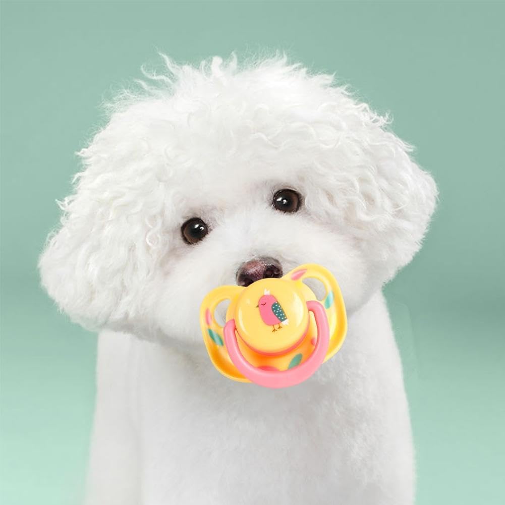 Jizlan Pet Silicone Calming Pacifier dishwasher-safe cleaning scene emphasizes easy maintenance.