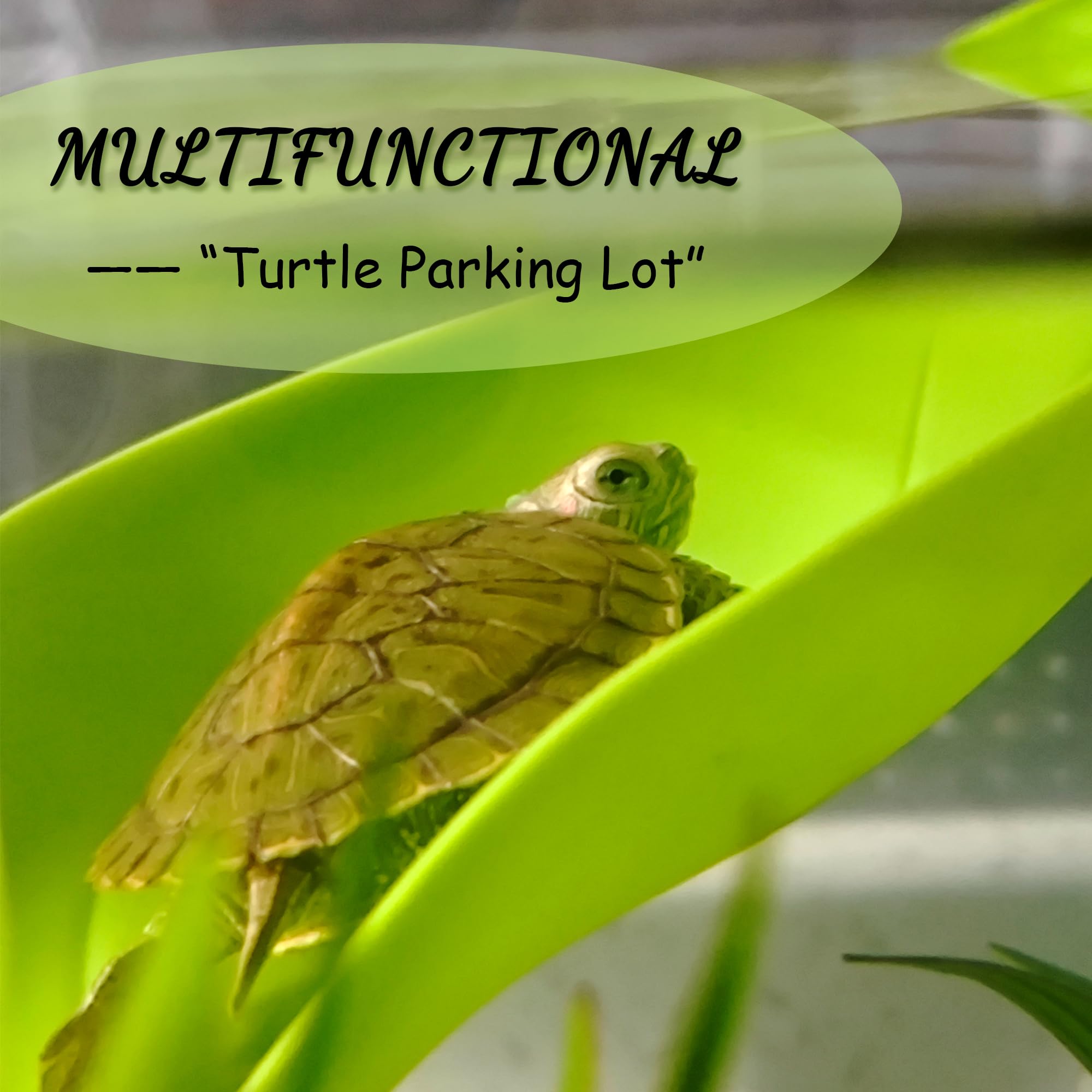 JJMOLLE Leaf-Shaped Design Green adds naturalistic decor and a basking spot.
