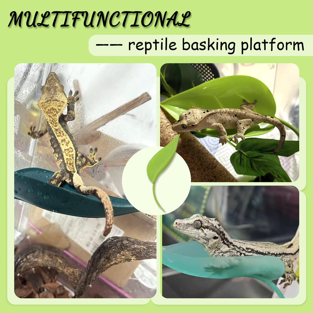JJMOLLE Tree Frog Tank Accessories enhance multi-pet habitats with functional platforms.
