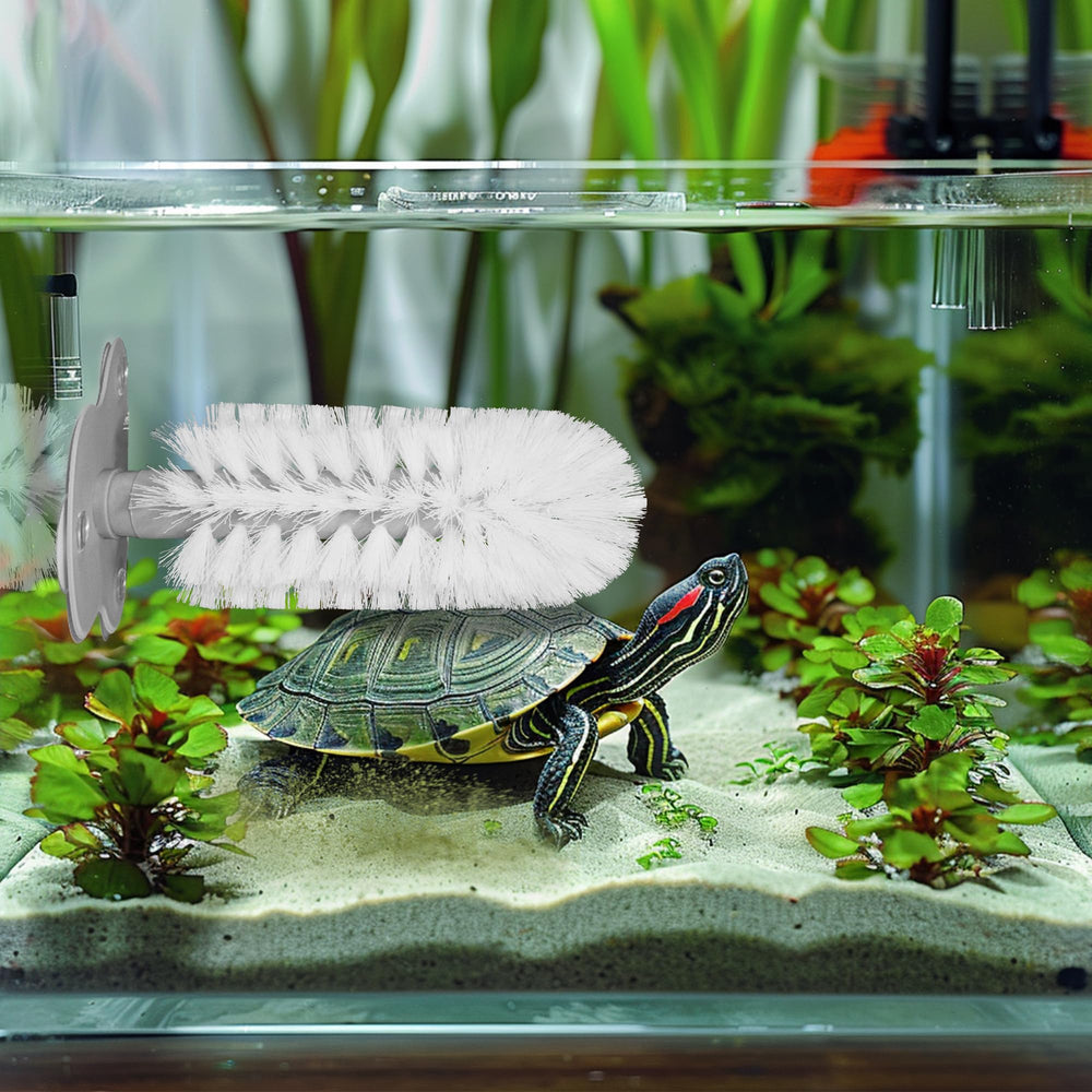 JJMOLLE turtle brush three suction cups keeping turtle tank attachment steady during use.