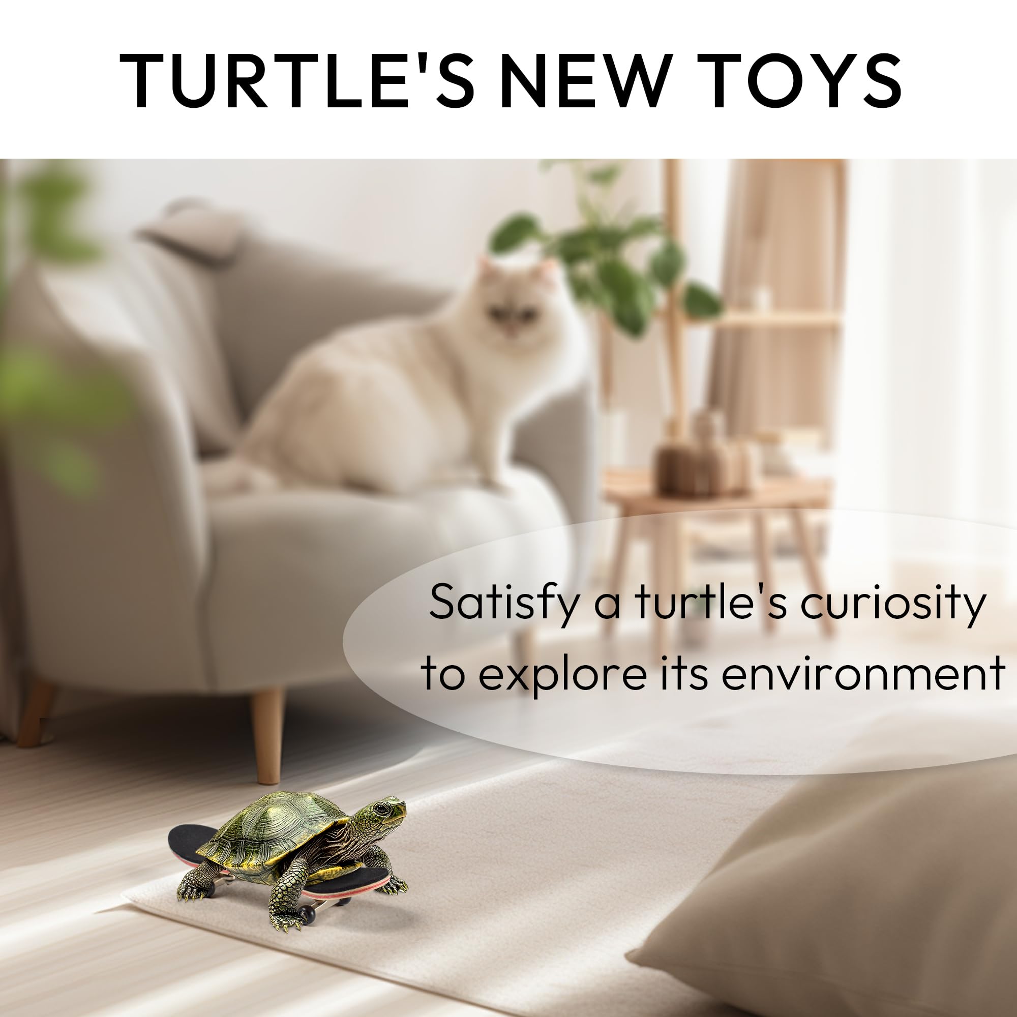 JJMOLLE Turtle Skateboard Mini in-use image shows enrichment through movement and textured exploration.