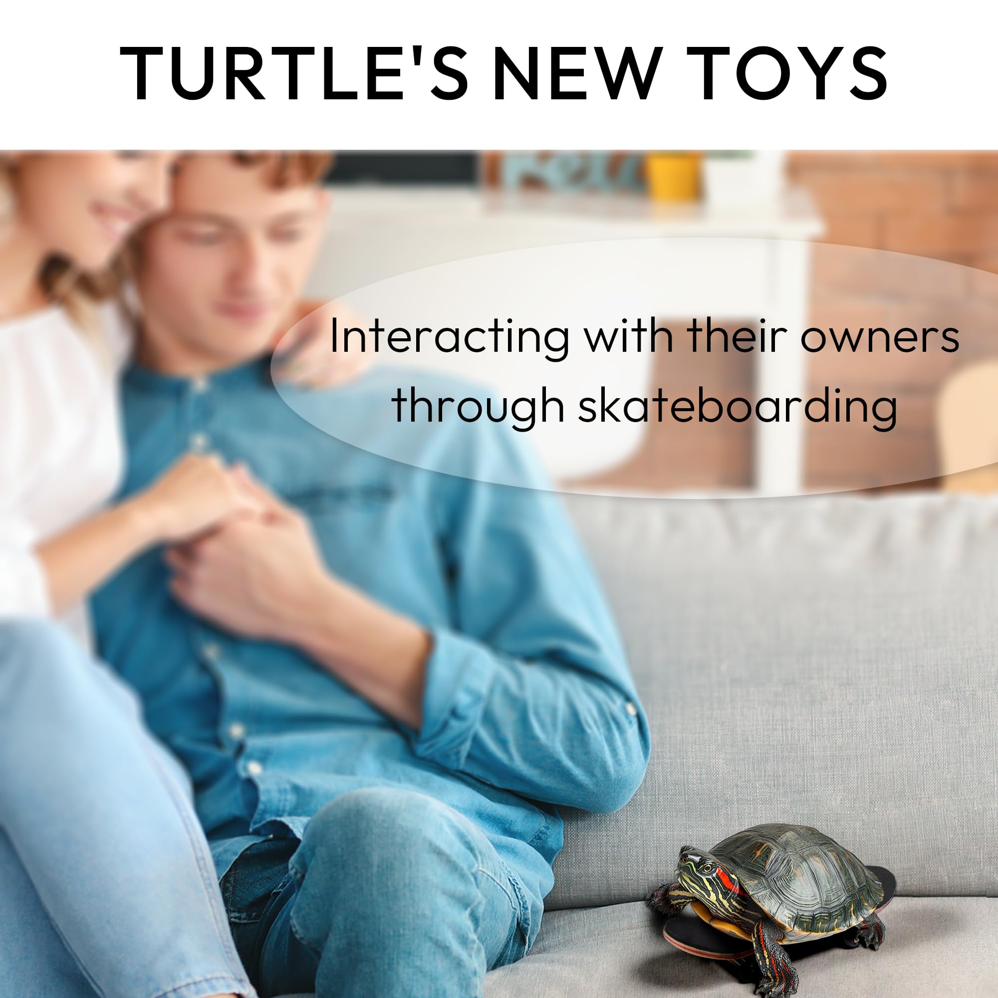 JJMOLLE Turtle Skateboard Mini packaging image signals ready-to-play setup for pet owners.
