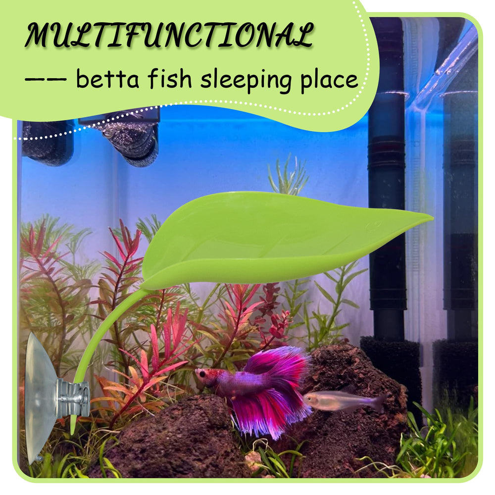 JJMOLLE Turtle Tank Habitat Enrichment enhances aesthetics and pet enrichment.