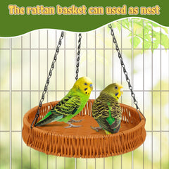 JJunLiM hanging bird toy setup demonstrates versatile placement options