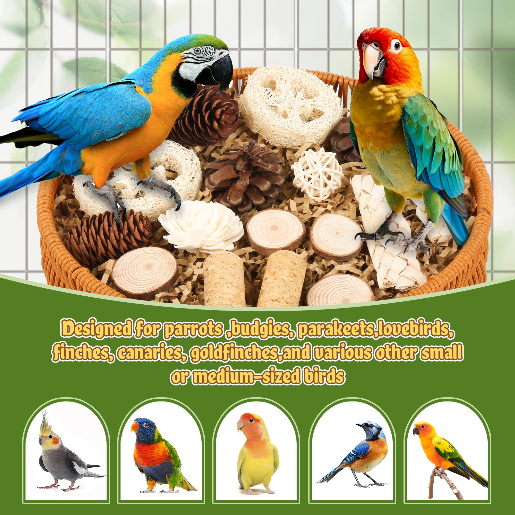 JJunLiM multi species bird toy showcases suitability for parakeets and conures