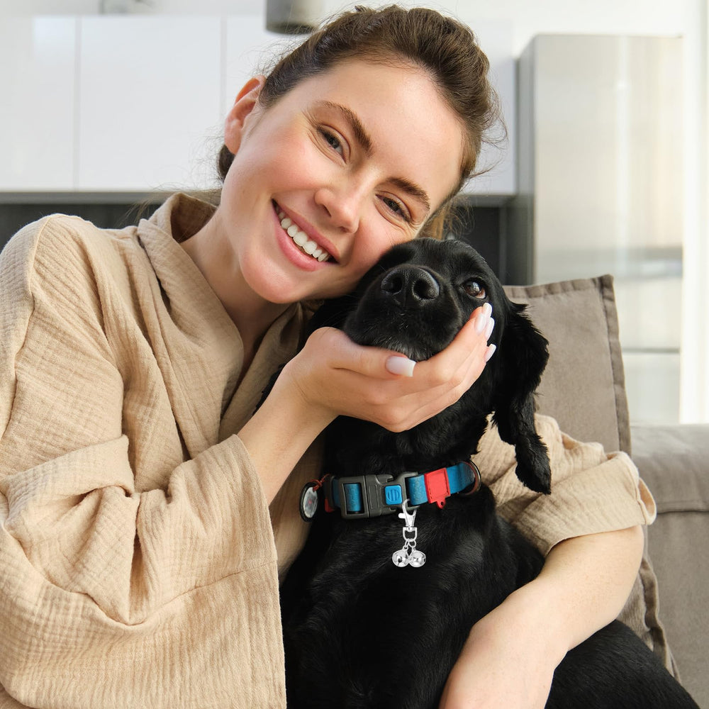 JJUNW dog-cat training bells illustrate versatile use on collars for pets.