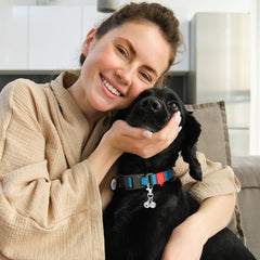 JJUNW dog-cat training bells illustrate versatile use on collars for pets.