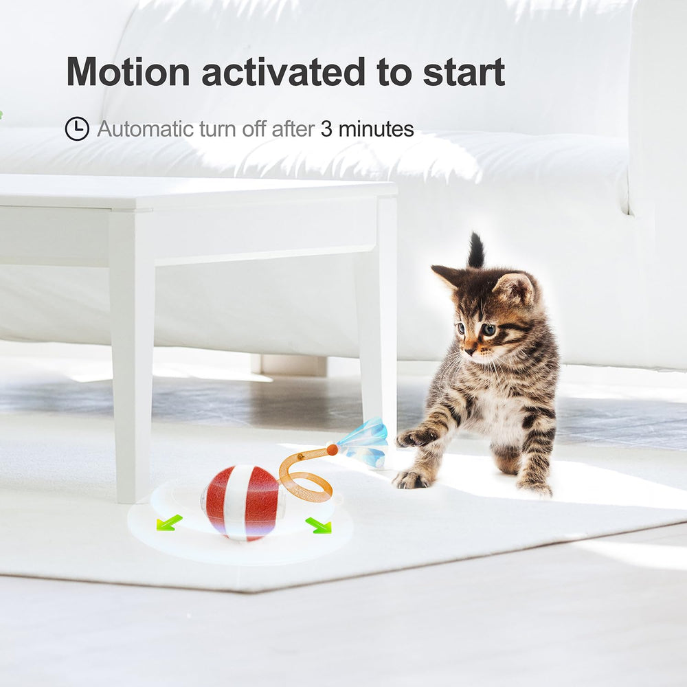Jkanti interactive cat ball charges via USB for continuous play.
