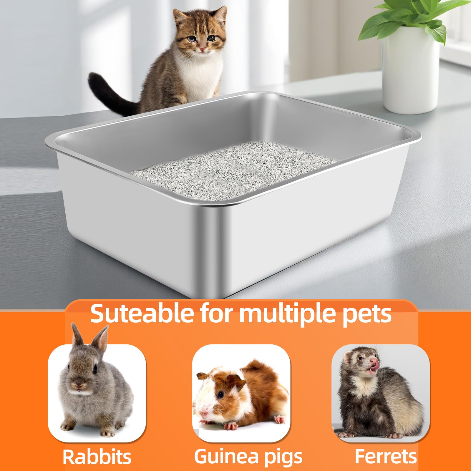 JKQADWD stainless steel litter box interior with cat demonstrates easy cleaning and quick maintenance