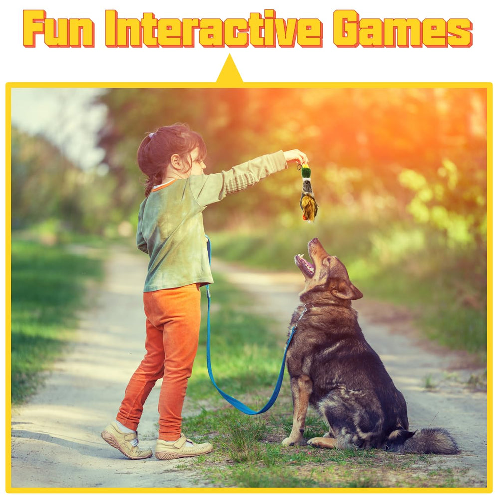 JKW Pet dog and cat playing with duck scene for stimulating activity.