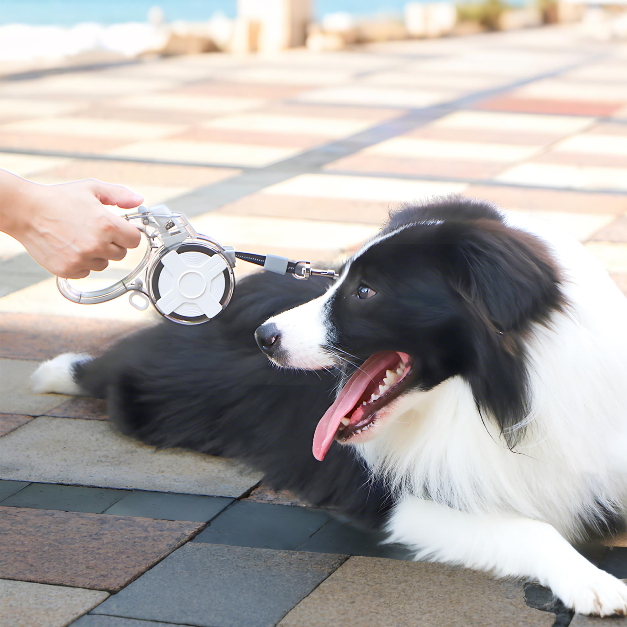 JKWLBTC 13 ft leash in use, showing control when dog moves ahead.