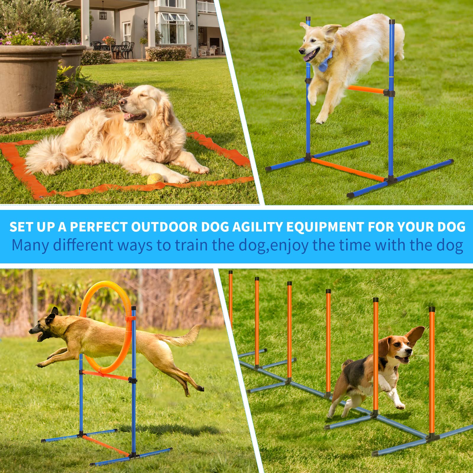 JMMPOO dog weave poles in action boost speed and dexterity