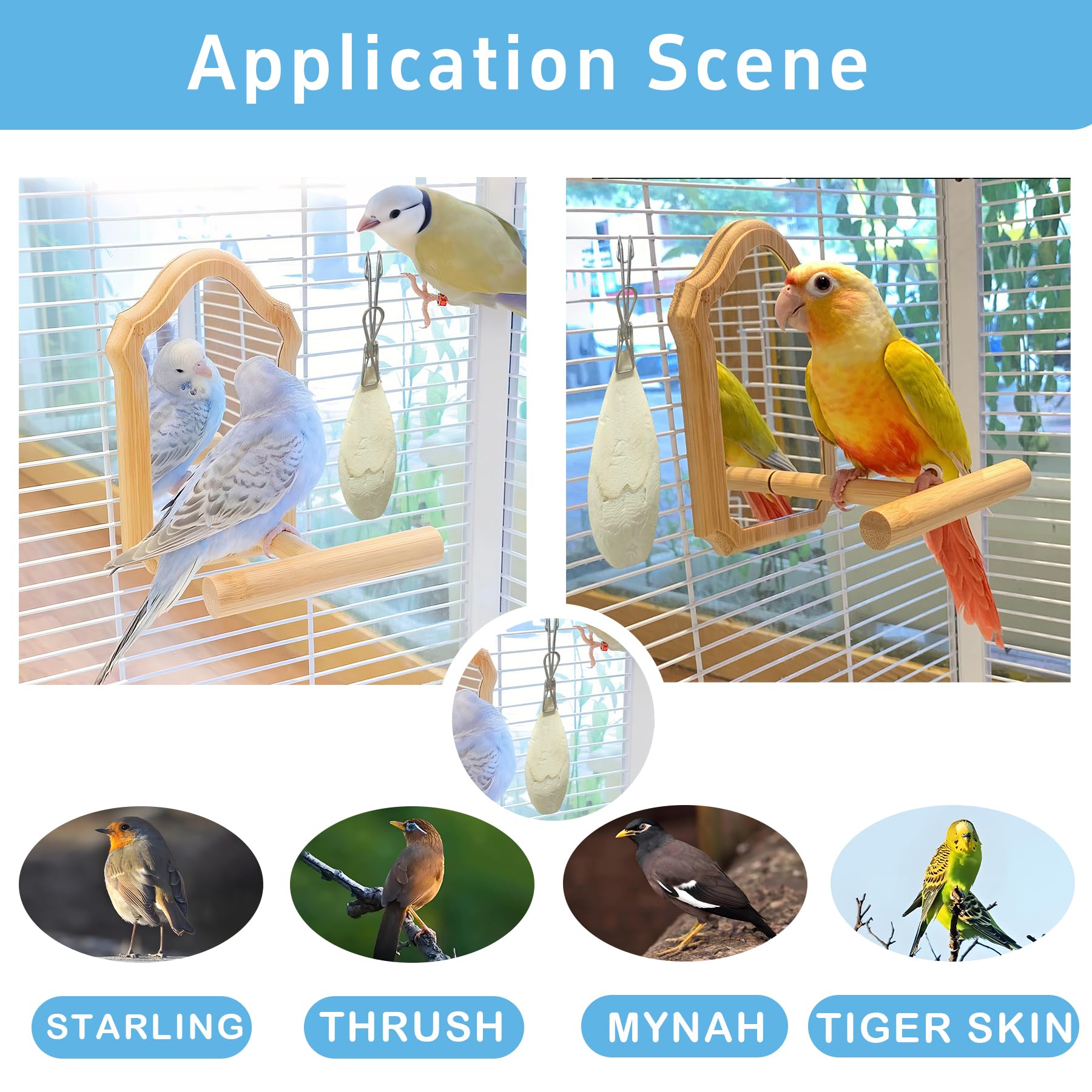 Jmxu's 100% natural cuttlebone is pigment-free and chew-safe for curious birds.