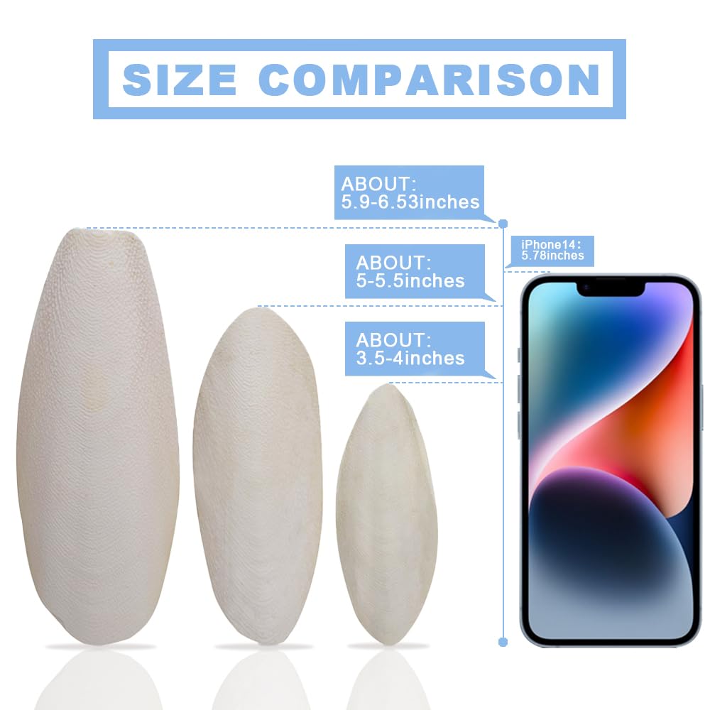 Jmxu's cuttlebone is ideal for small to medium birds like parakeets and cockatiels.