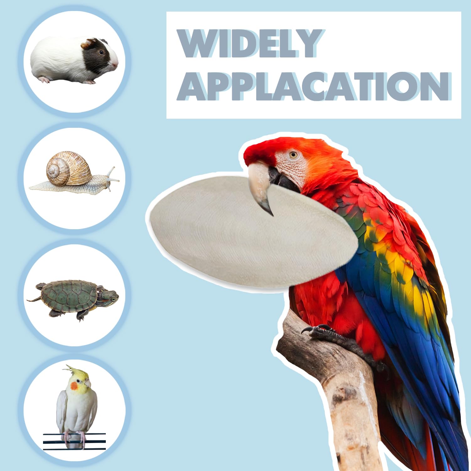 Jmxu's easy-install cuttlebone clip allows quick cage hanging and access.