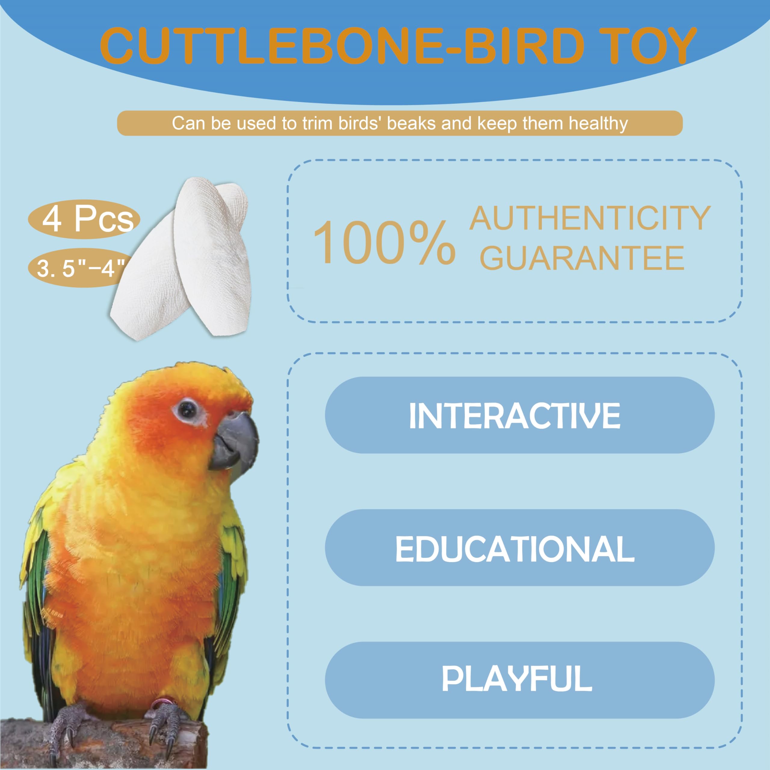 Jmxu's cuttlebone natural texture supports beak shaping and daily play for parrots.