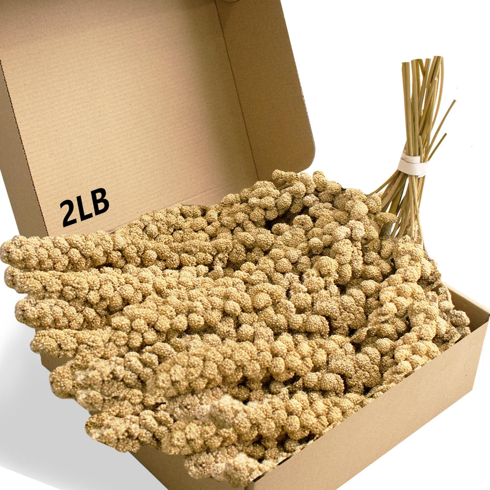 Jmxu's spray millet packaging long millet for enrichment feeding