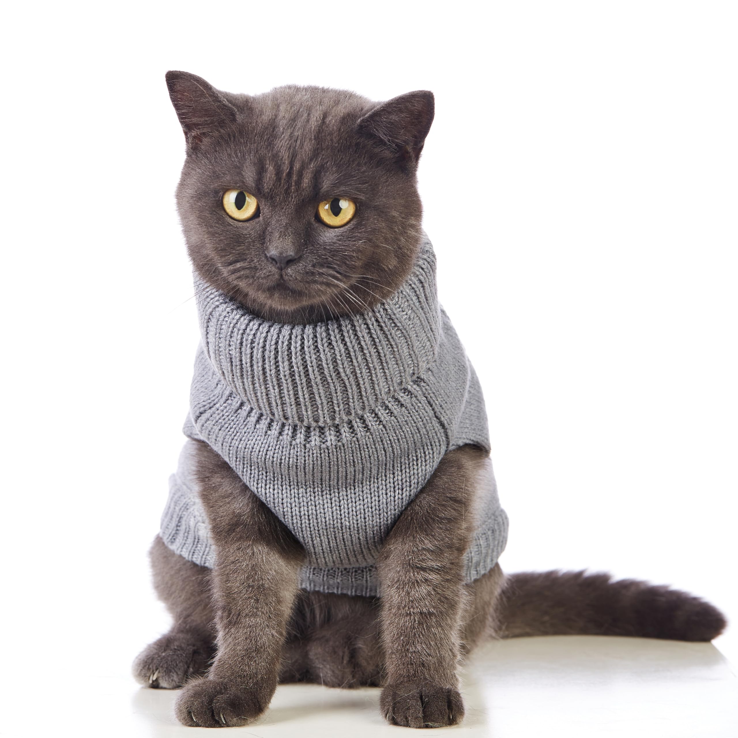 Jnancun Stretchy Cat Sweater easy-on-off design enables quick outfit changes.