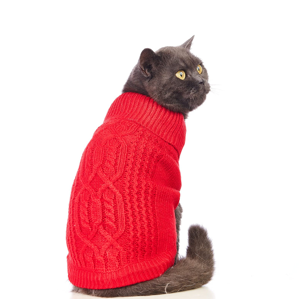 Jnancun Stretchy Cat Sweater suits indoor warmth and light outdoor use