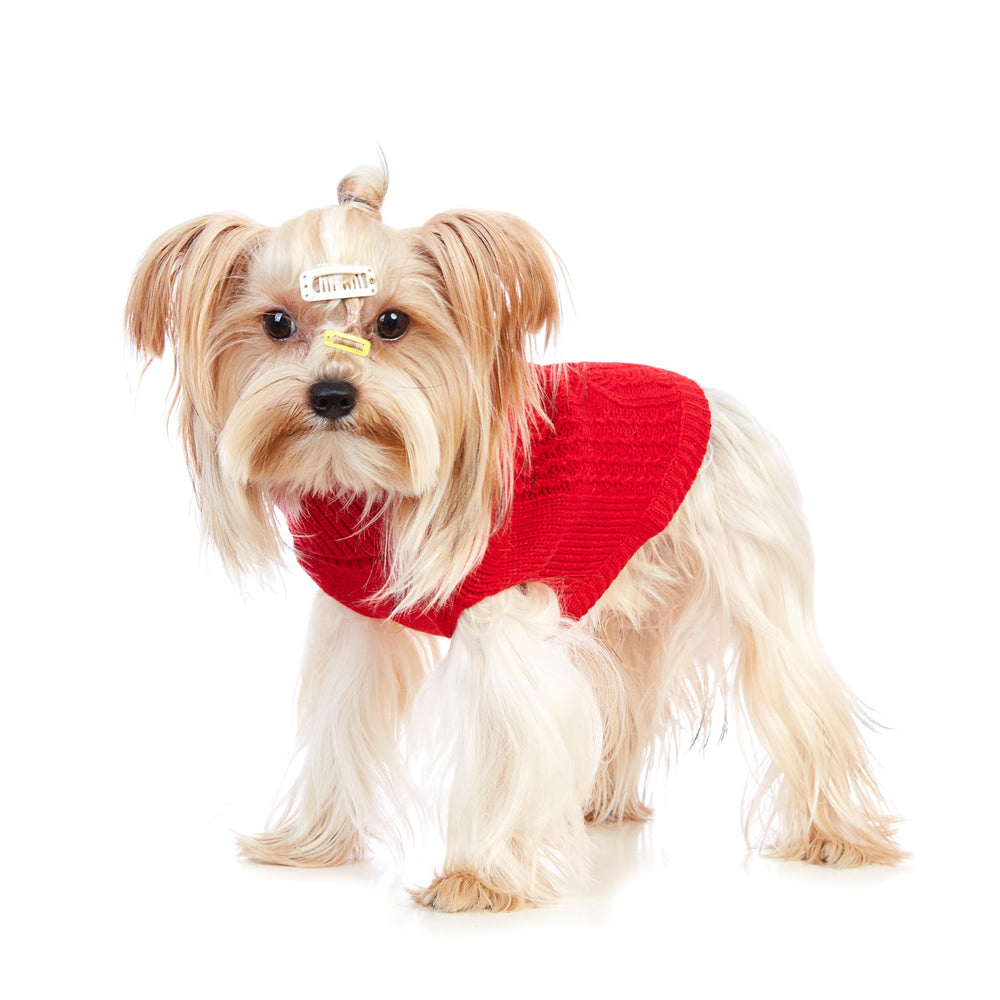 Jnancun Stretchy Cat Sweater features machine washable care and easy upkeep