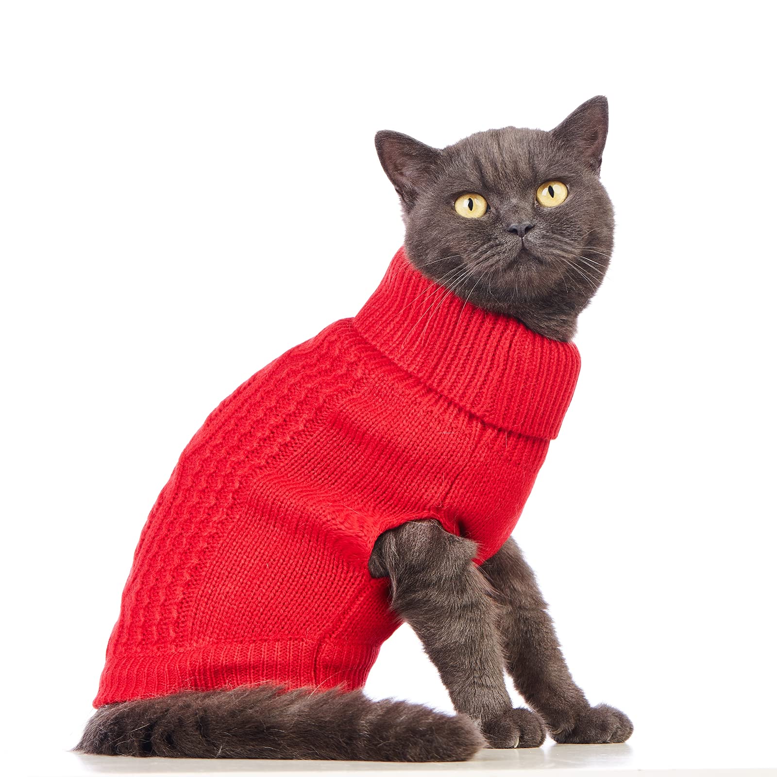 Jnancun Stretchy Cat Sweater demonstrates unisex comfort fit for any cat