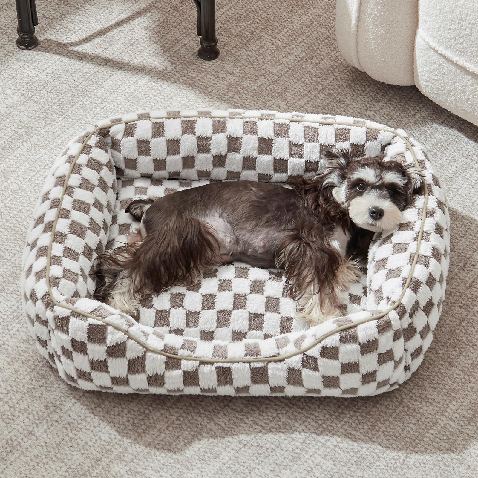 JOEJOY bed in living room corner for small pets