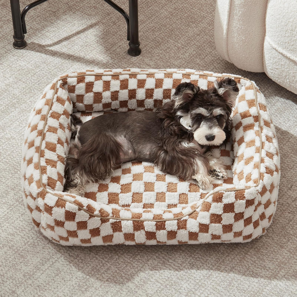 JOEJOY cat-friendly option for indoor lounging and nap time.