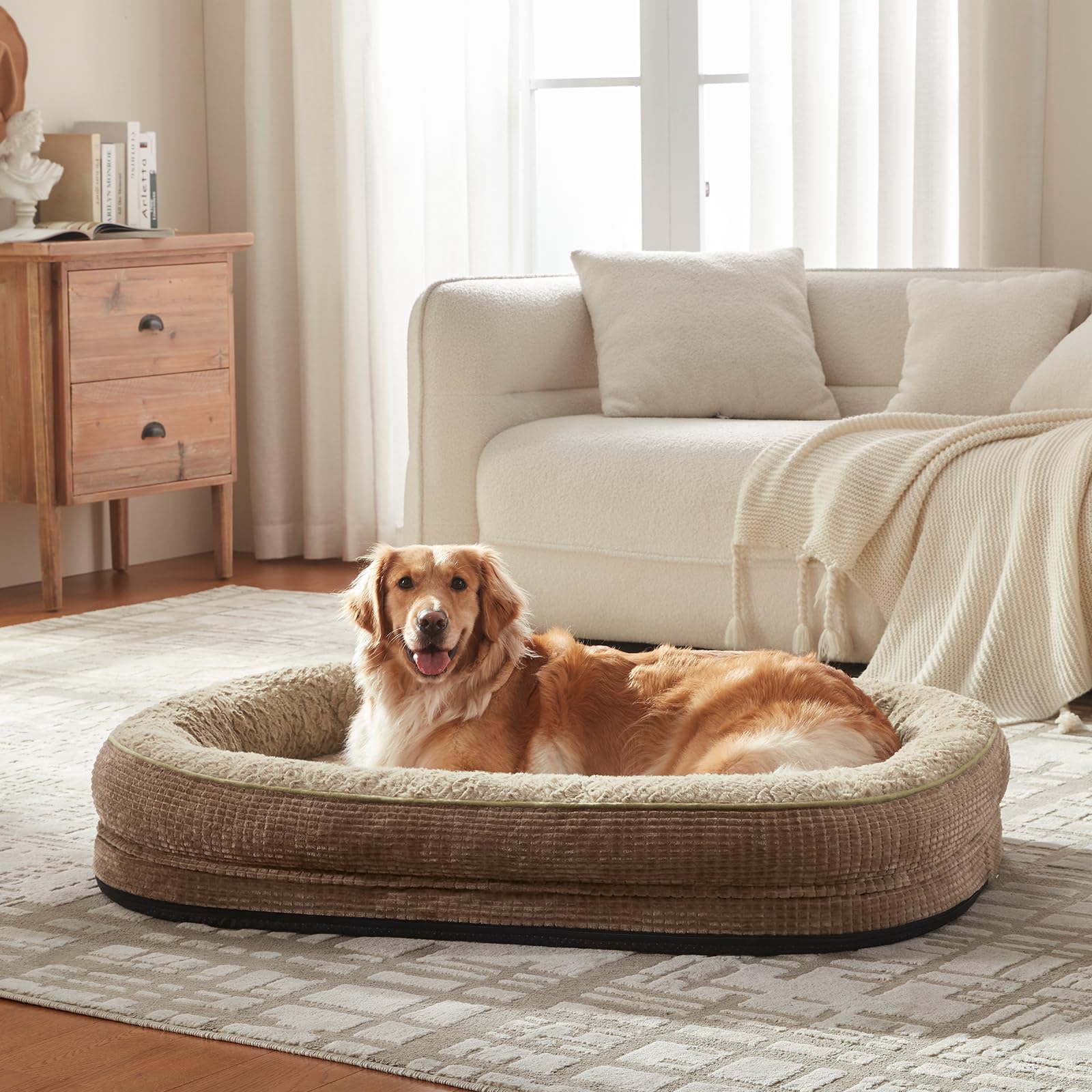 JOEJOY bed size 48x35 shows ample space for large breeds to stretch