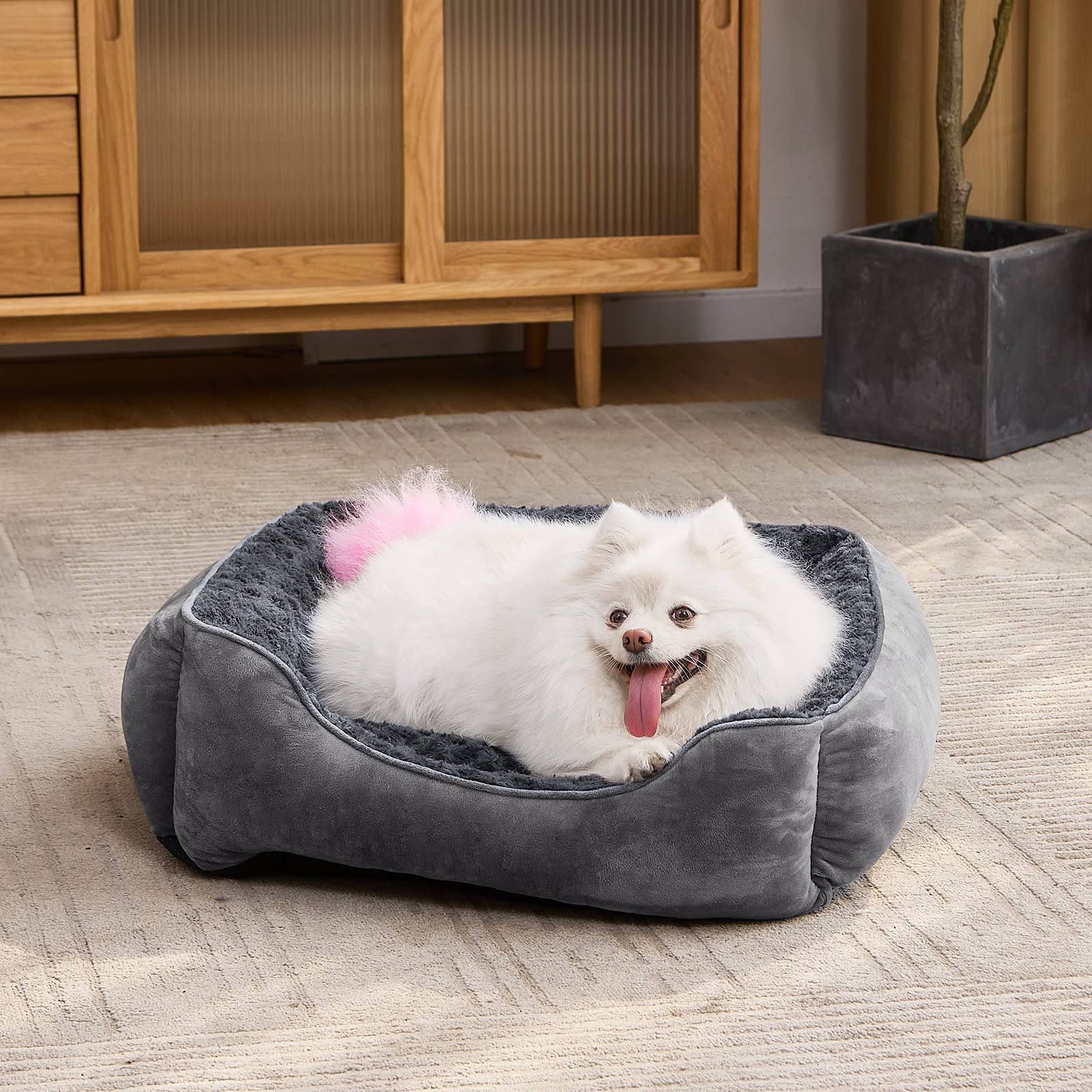JOEJOY Rectangle Dog Bed with dog resting to show versatility