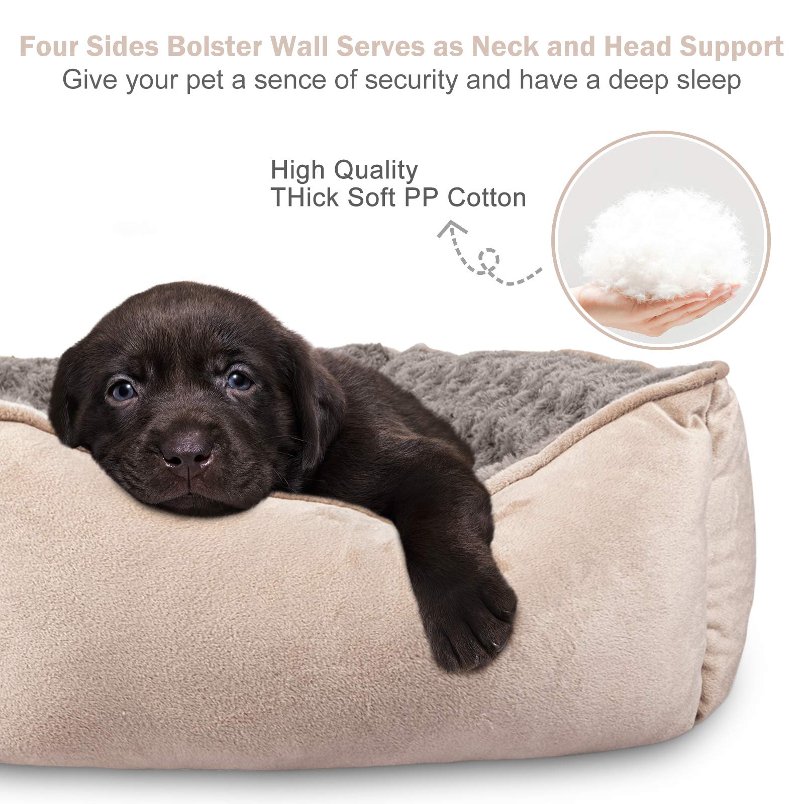 JOEJOY rectangle dog bed with soft suede interior for plush lounging