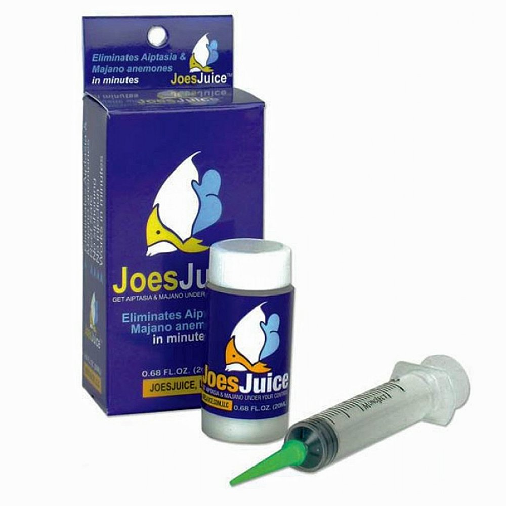 Joe's Juice Aiptasia Eliminator 20mL bottle for reef tanks, targeting aiptasia and majano safely.