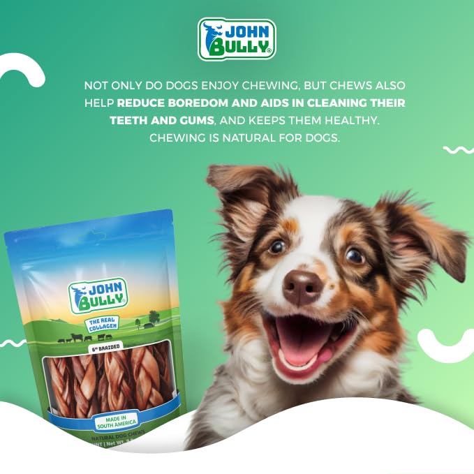 John Bully collagen braided 6in 6-pack display showing premium quality