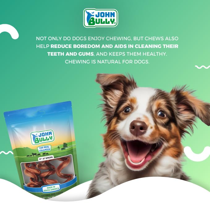John Bully collagen for dogs premium-grade jar highlights digestible formula.