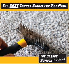 Johnny World Carpet Reviver Extreme action shows pet hair removal effectiveness