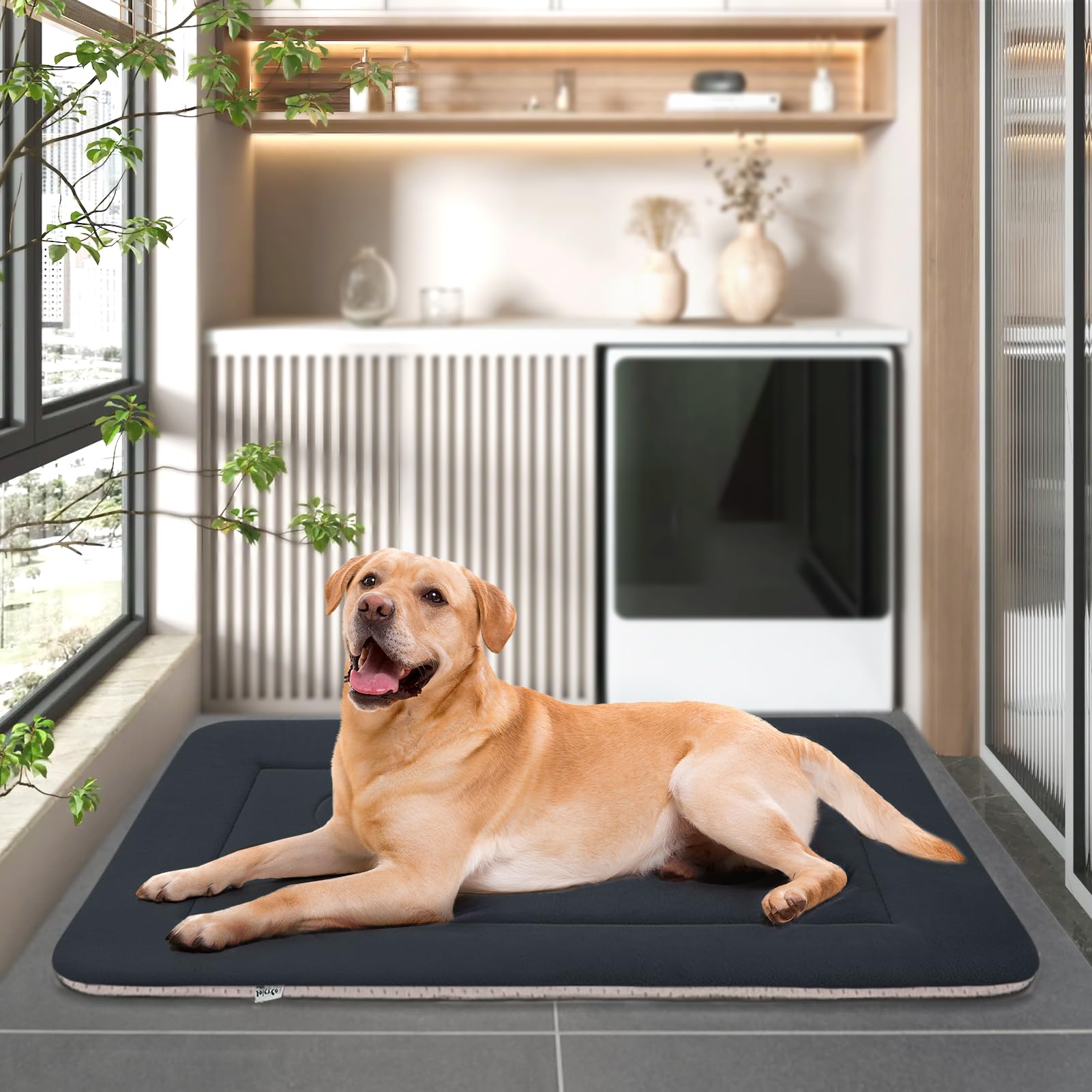 JoicyCo dark gray dog bed showing neutral color and stain hiding capability