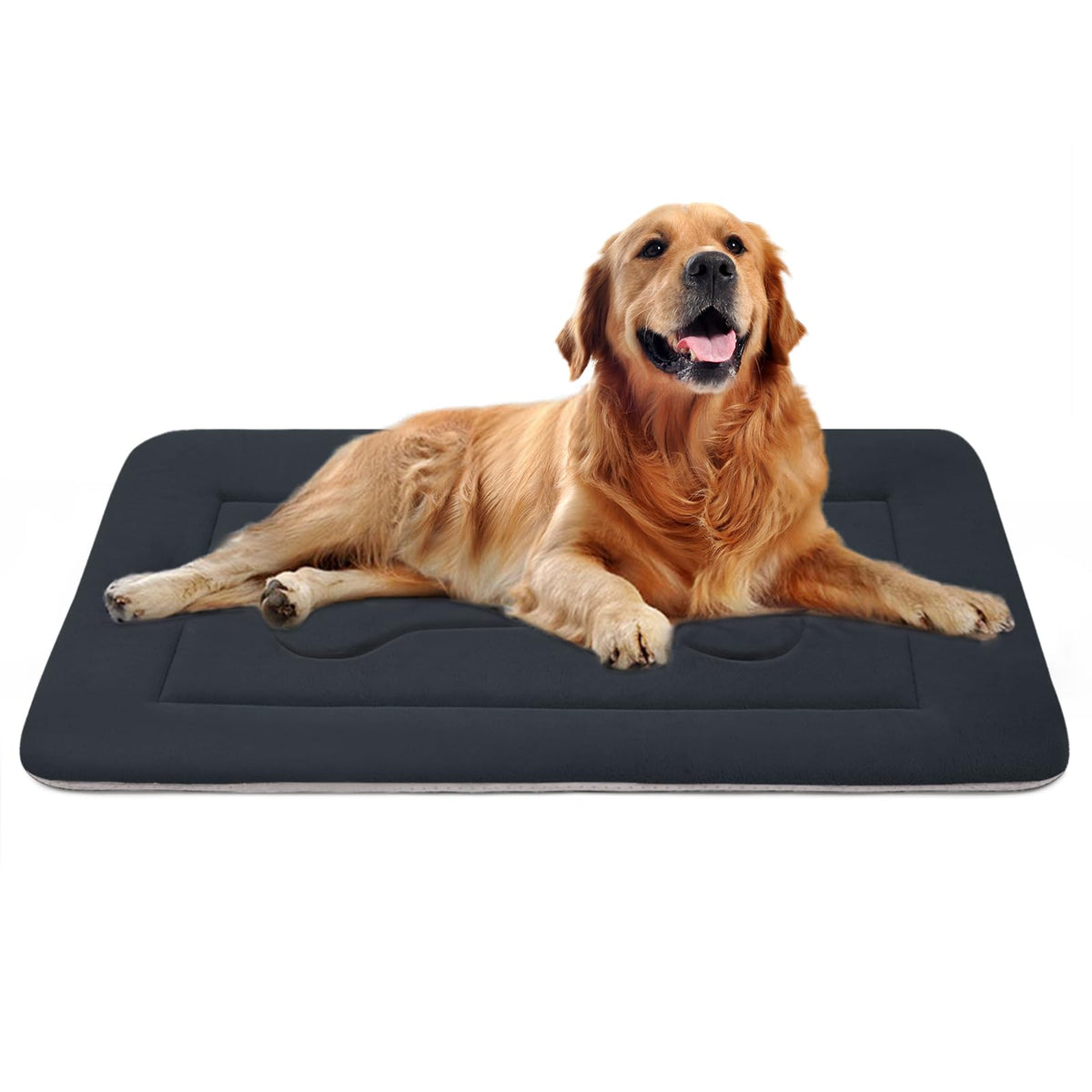 JoicyCo large dog bed 42in full view showing ample sleeping space