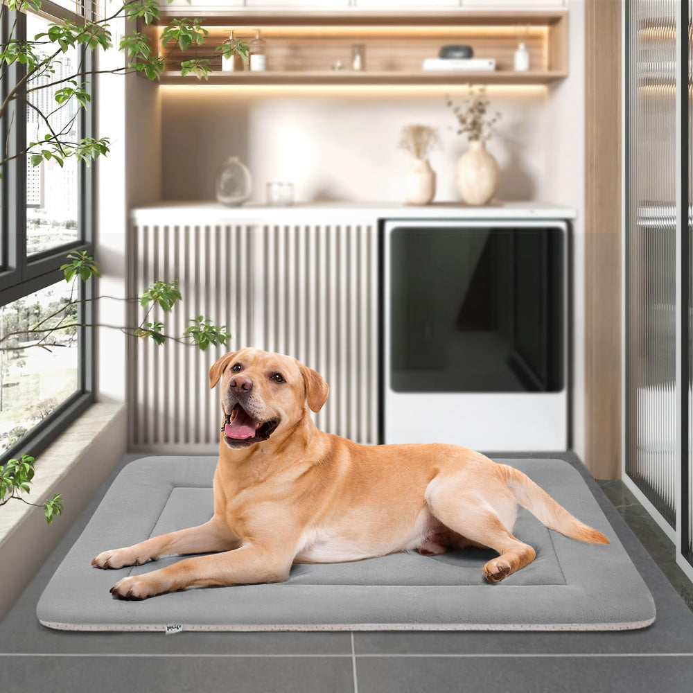 JoicyCo large dog bed 48-inch size accommodates extra-large dogs