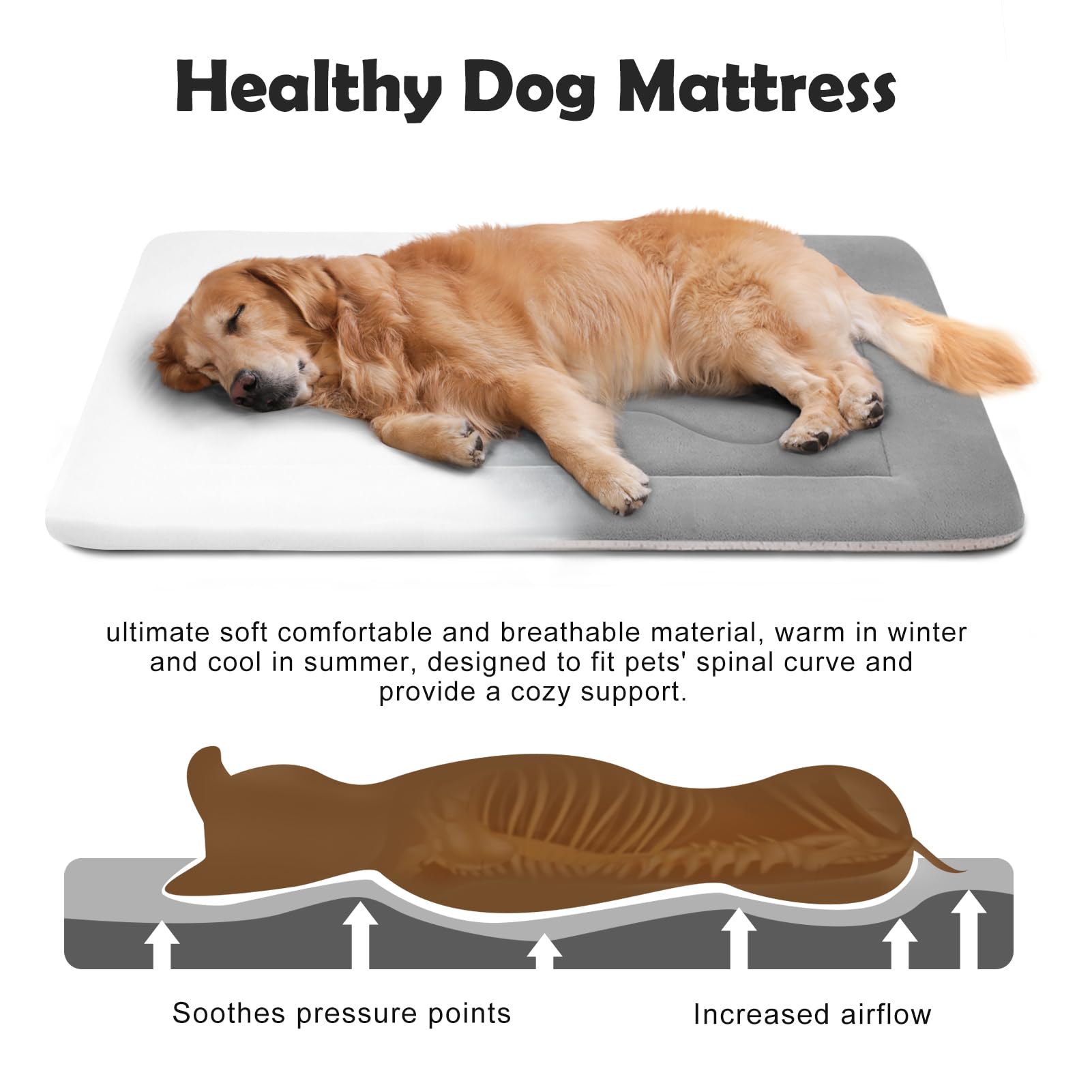 JoicyCo large dog bed foam core provides durable support