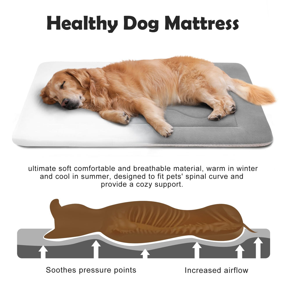 JoicyCo large dog bed foam core provides durable support