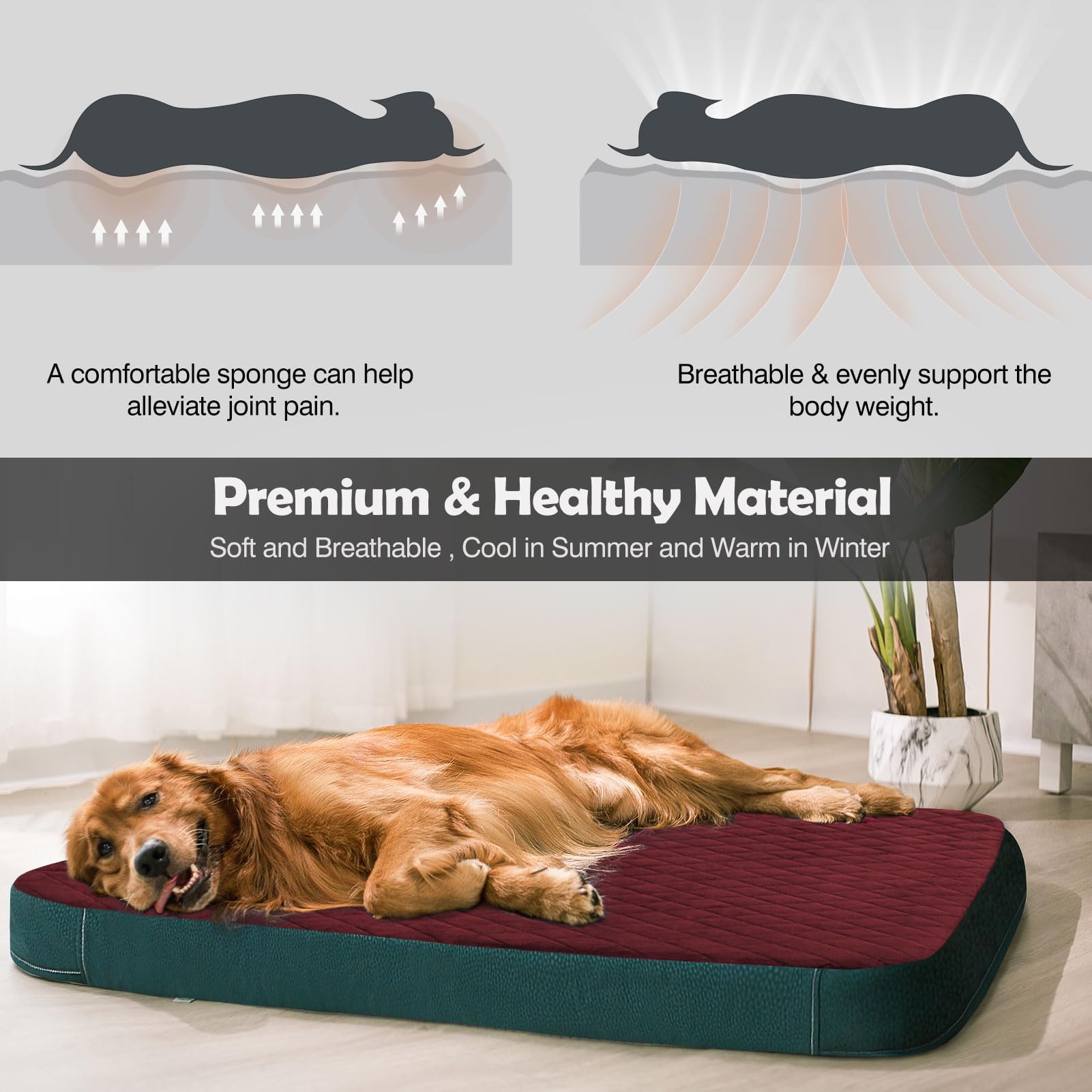 JoicyCo large bed in indoor setting offers a cozy sleeping retreat