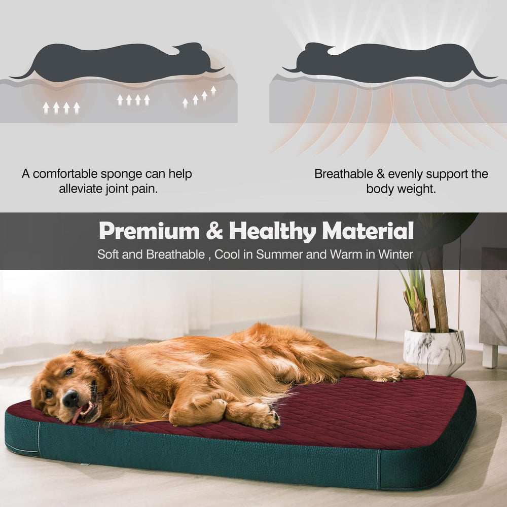 JoicyCo large bed in indoor setting offers a cozy sleeping retreat